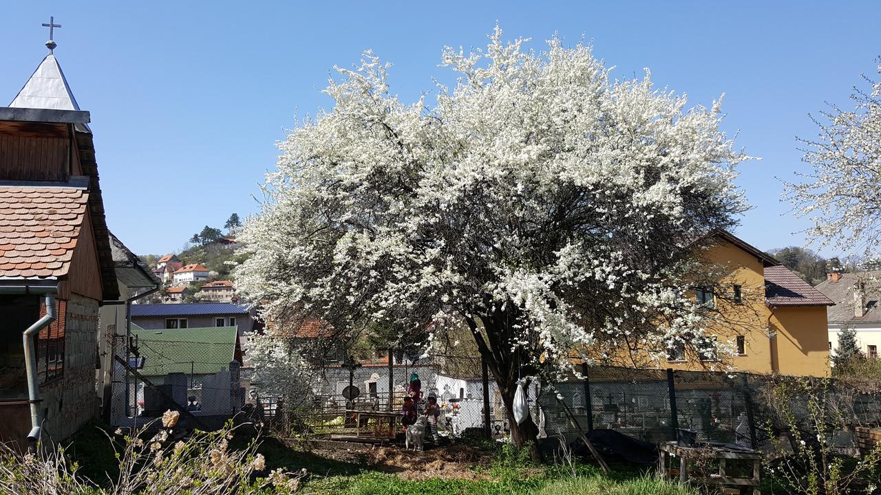 Mountain Tale Braşov Exterior foto