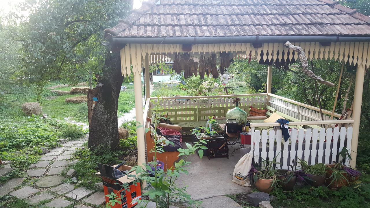 Mountain Tale Braşov Exterior foto