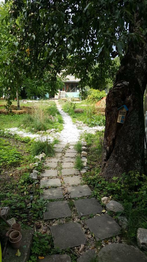 Mountain Tale Braşov Exterior foto