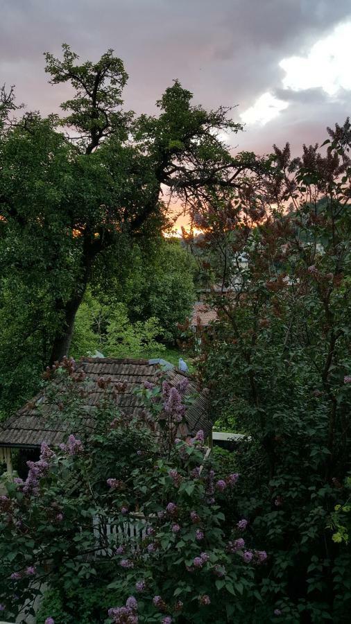 Mountain Tale Braşov Exterior foto